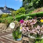 Gezellige Met Houtkachel, Sauna En Zonnige Tuin Hébergement de vacances