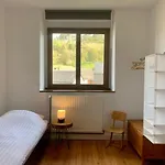 Gezellige Met Houtkachel, Sauna En Zonnige Tuin * Doische