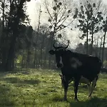 Hébergement de vacances Gezellige Met Houtkachel, Sauna En Zonnige Tuin