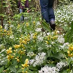 Hébergement de vacances Gezellige Met Houtkachel, Sauna En Zonnige Tuin