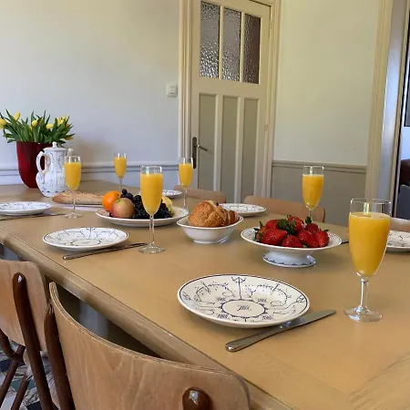 Gezellige Met Open Haard En Zonnige Tuin. *