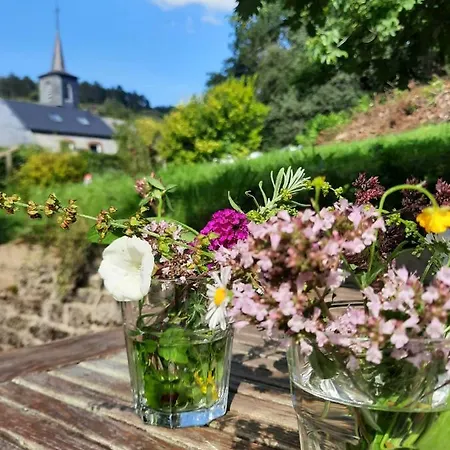 Gezellige Met Houtkachel, Sauna En Zonnige Tuin Сasa de vacaciones