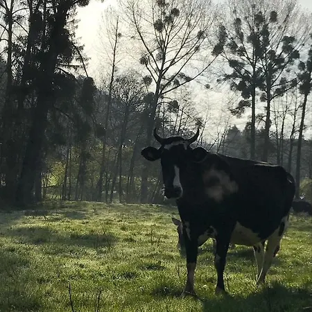 Дом отдыха Gezellige Met Open Haard En Zonnige Tuin.