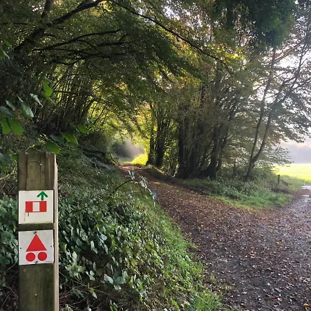 בית נופש Gezellige Villa Met Houtkachel, Sauna En Zonnige Tuin *