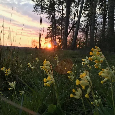 Дом отдыха Gezellige Met Open Haard En Zonnige Tuin. *