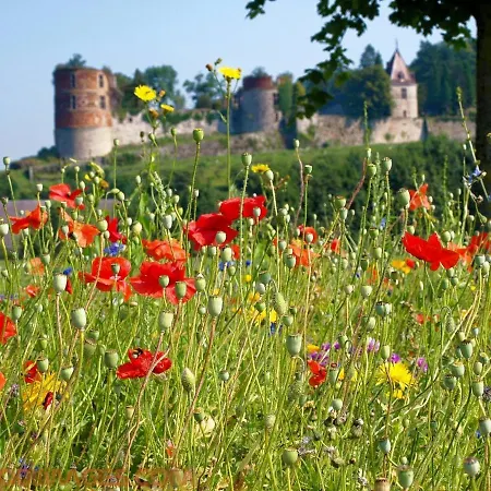 Gezellige Met Open Haard En Zonnige Tuin. Дом отдыха *