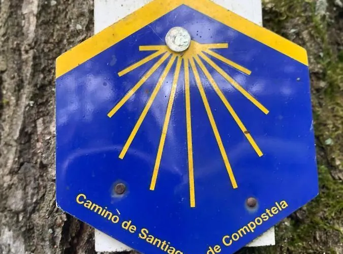 Gezellige Villa Met Houtkachel, Sauna En Zonnige Tuin Doische