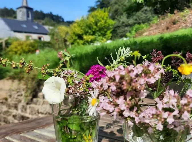 Gezellige Villa Met Houtkachel, Sauna En Zonnige Tuin Holiday home