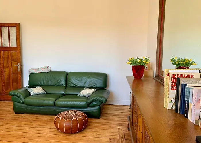 Gezellige Met Houtkachel, Sauna En Zonnige Tuin * Doische