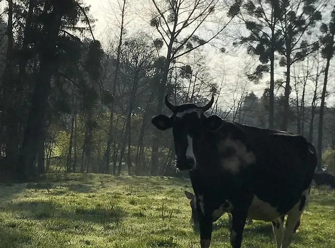 Prázdninový dům Gezellige Met Houtkachel, Sauna En Zonnige Tuin