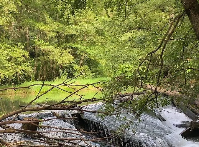 Gezellige Met Houtkachel, Sauna En Zonnige Tuin Prázdninový dům *