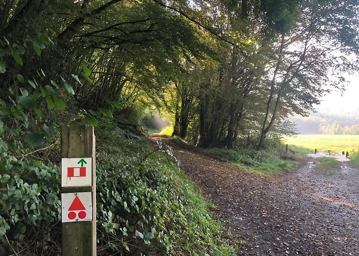 Holiday home Gezellige Villa Met Houtkachel, Sauna En Zonnige Tuin *