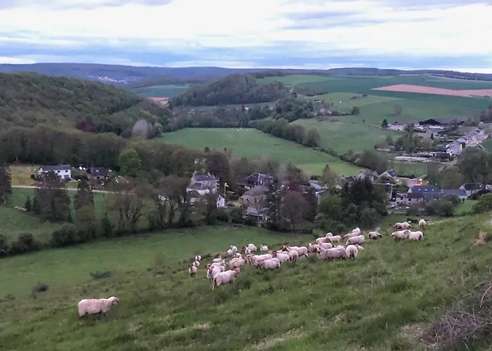 Gezellige Villa Met Houtkachel, Sauna En Zonnige Tuin בית נופש Doische