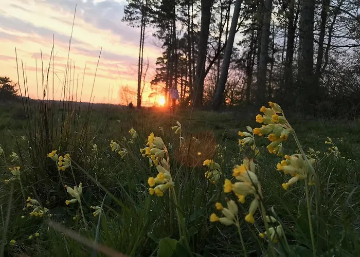 Prázdninový dům Gezellige Met Houtkachel, Sauna En Zonnige Tuin *