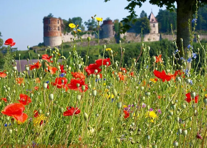 Gezellige Met Houtkachel, Sauna En Zonnige Tuin Prázdninový dům *