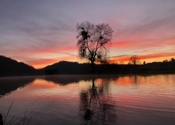 בית נופש Gezellige Villa Met Houtkachel, Sauna En Zonnige Tuin Doische