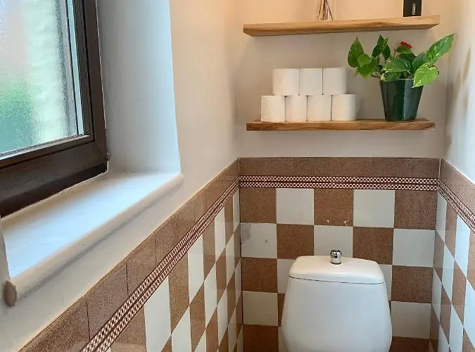 Gezellige Met Houtkachel, Sauna En Zonnige Tuin Prázdninový dům